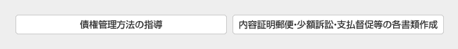 「債権管理方法の指導」「内容証明郵便・少額訴訟・支払督促等の各書類作成」